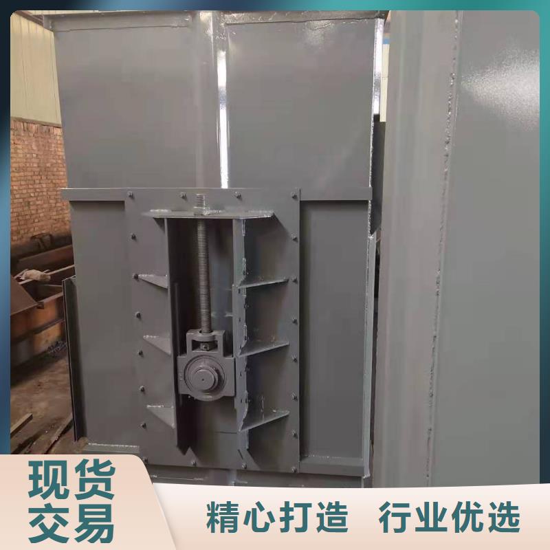 TD200斗式机价格厂家直销