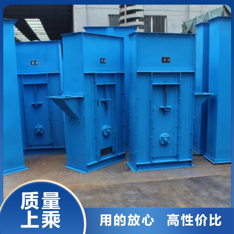 TD200斗式机价格厂家直销