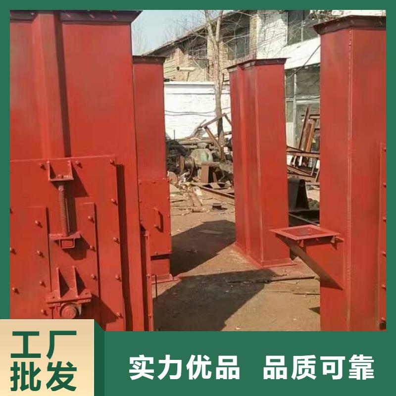 TD200斗式机诚信厂家