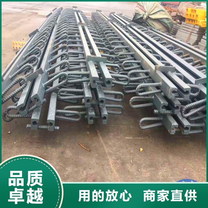 桥梁伸缩缝-抗拉球型钢支座用的放心