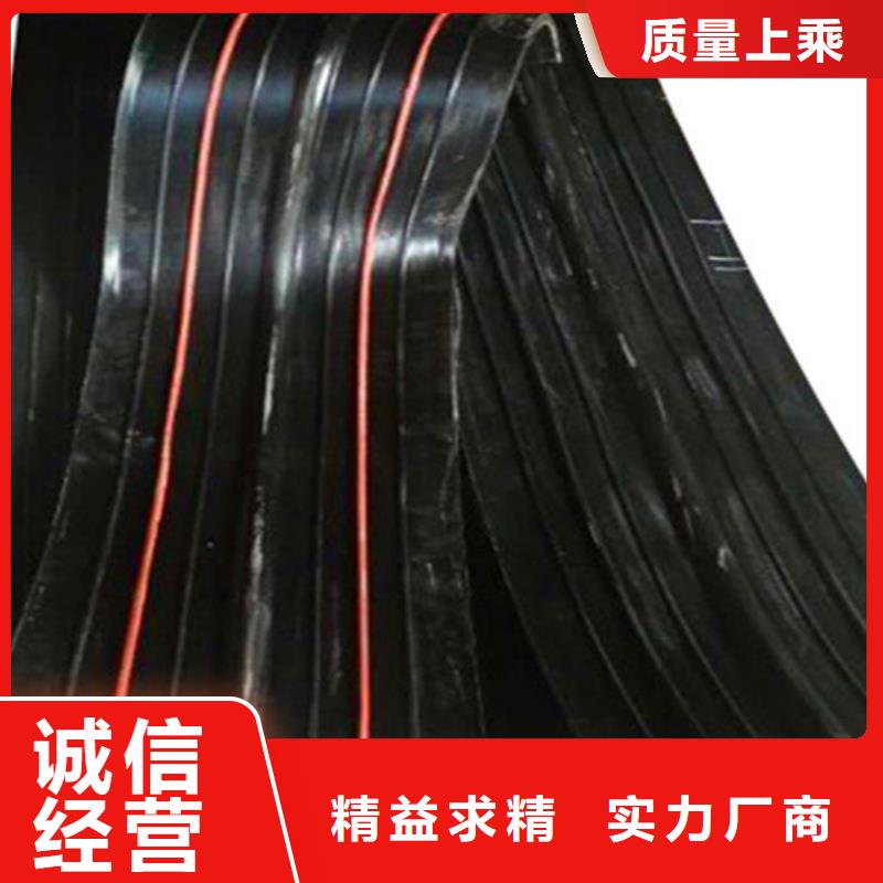 橡胶止水带-盆式橡胶支座标准工艺