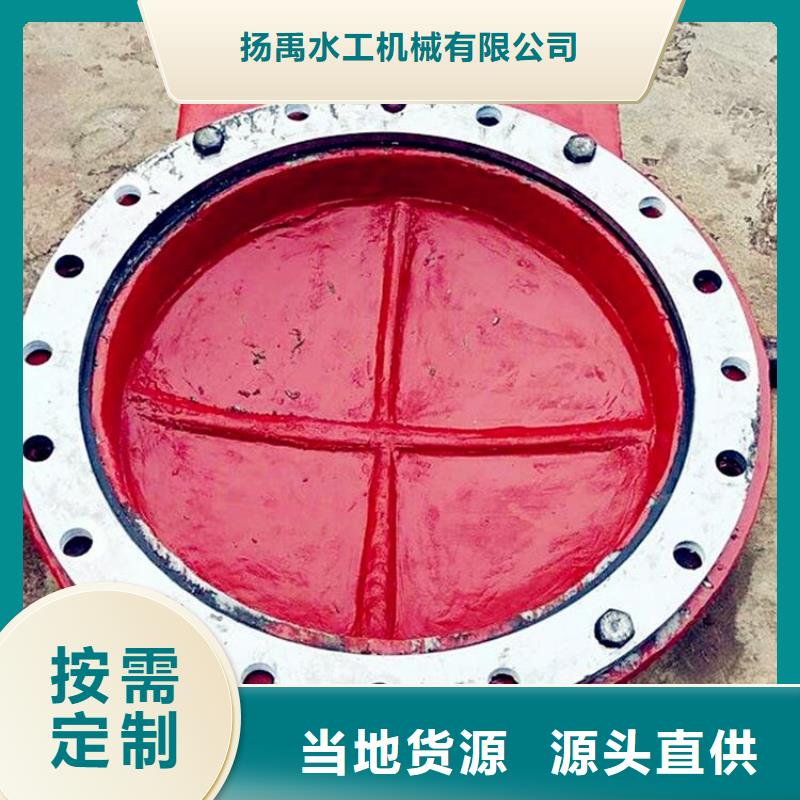 铸铁闸门_钢制拍门支持定制加工
