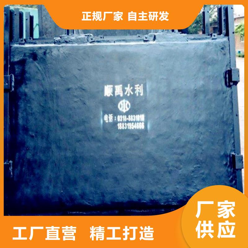  铸铁闸门现货快速采购