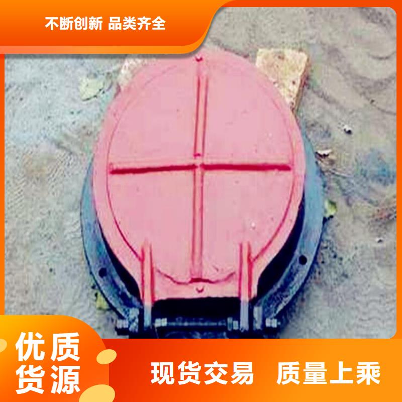 【铸铁闸门,卷扬启闭机本地厂家值得信赖】本地品牌