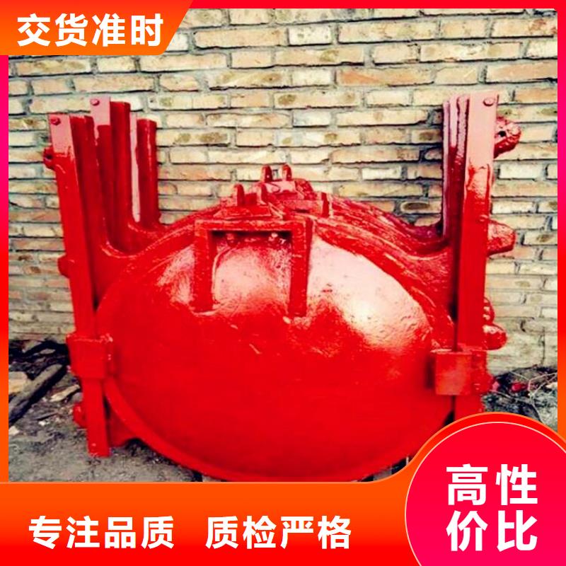  铸铁闸门专业设计