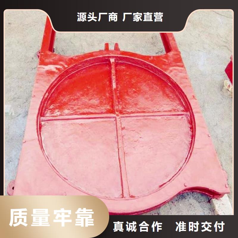 插板闸门现货齐全扬禹水工