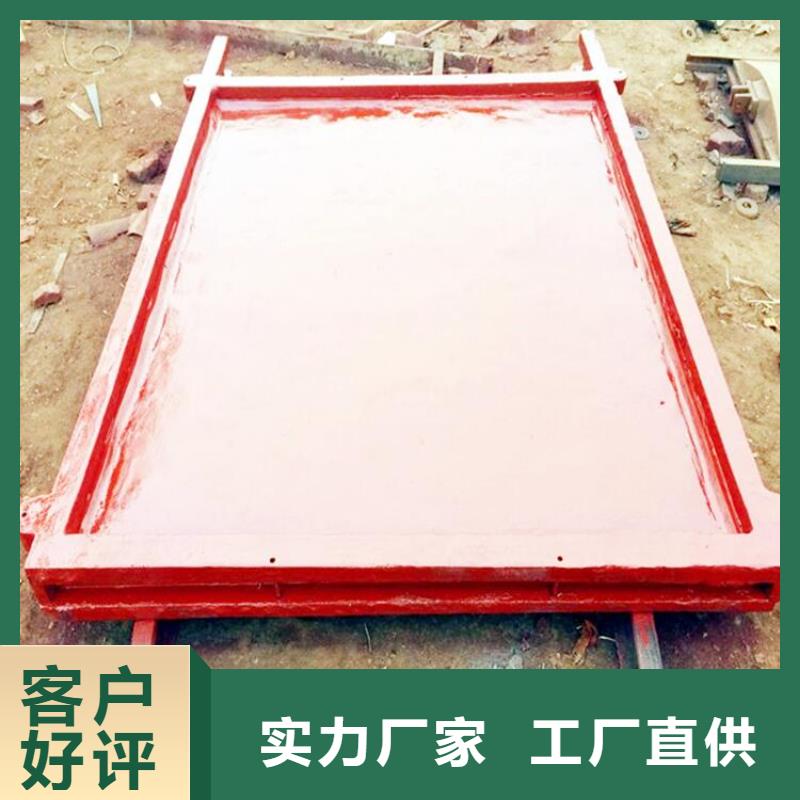 铸铁闸门多年实力厂家