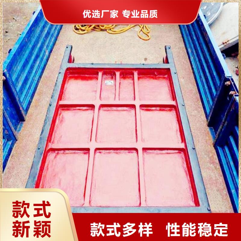 铸铁闸门电动装置启闭机用心做品质