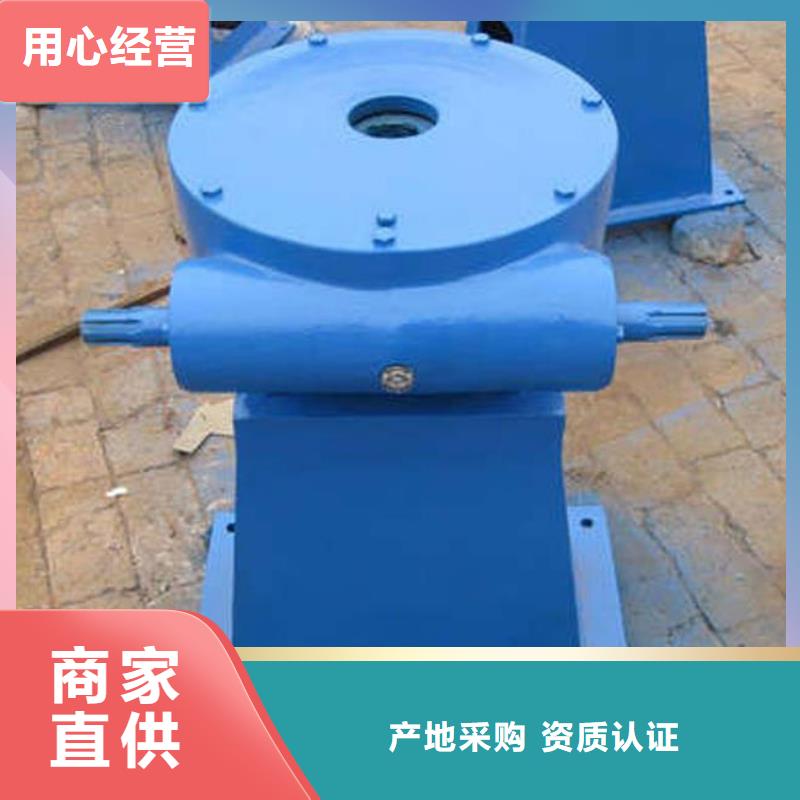 螺杆启闭机不锈钢拍门质优价廉