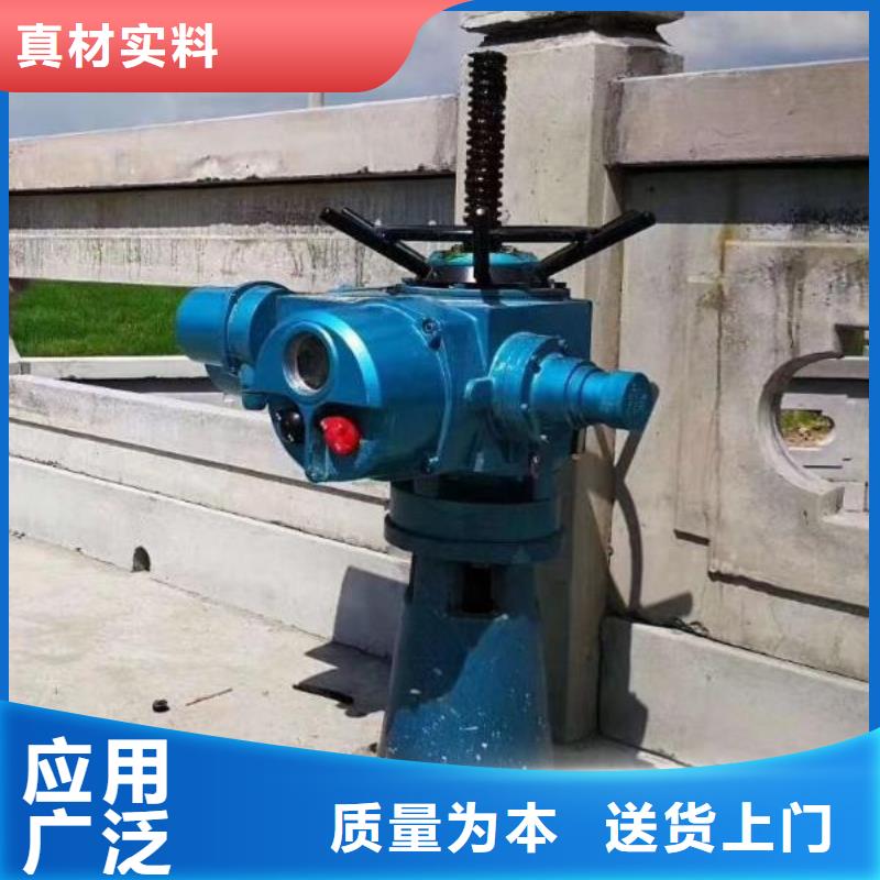 【螺杆启闭机,球墨铸铁闸门的简单介绍】