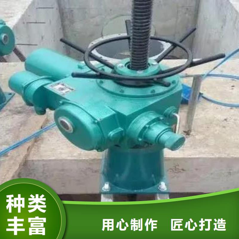 手摇卷扬启闭机服务商螺杆启闭机【铸铁闸门】现货满足大量采购