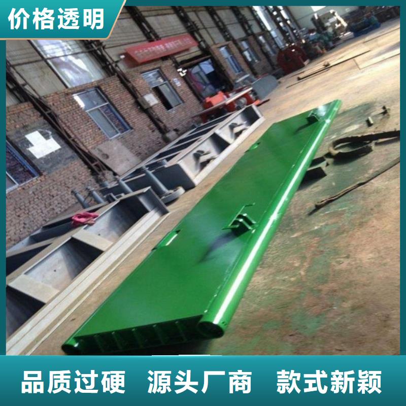 翻板闸门 球墨铸铁闸门种类齐全
