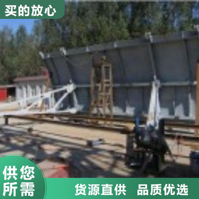  翻板闸门真材实料加工定制