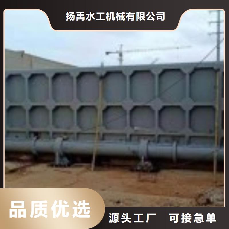 翻板闸门质量放心