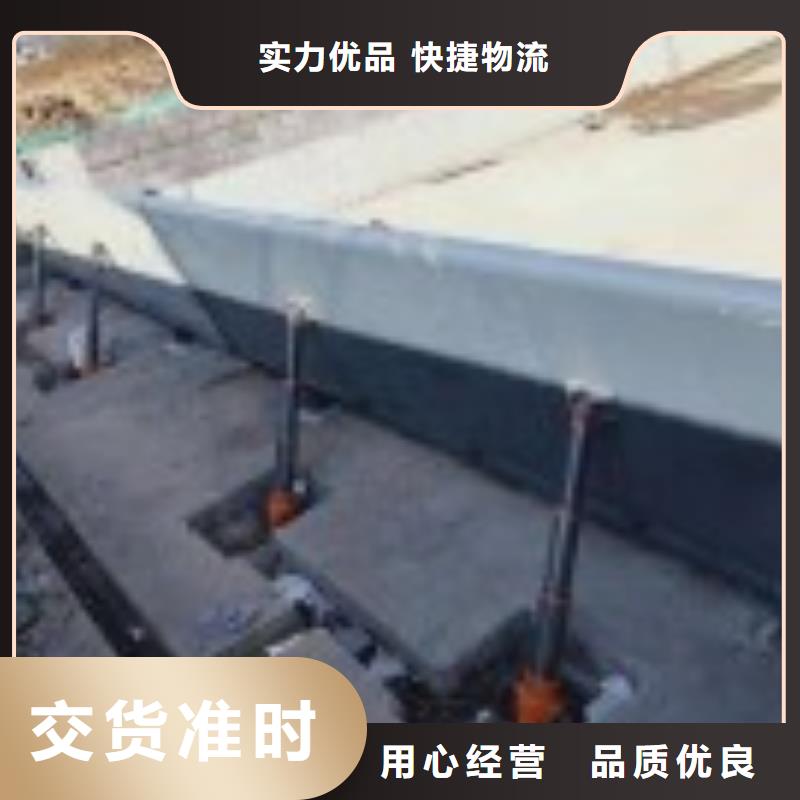 自有厂家 翻板闸门_【钢制拍门】工程施工案例-产品视频