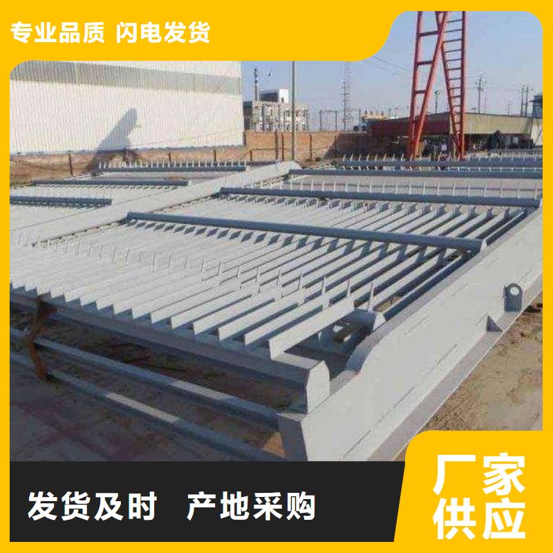 清污机 铸铁拍门工厂批发