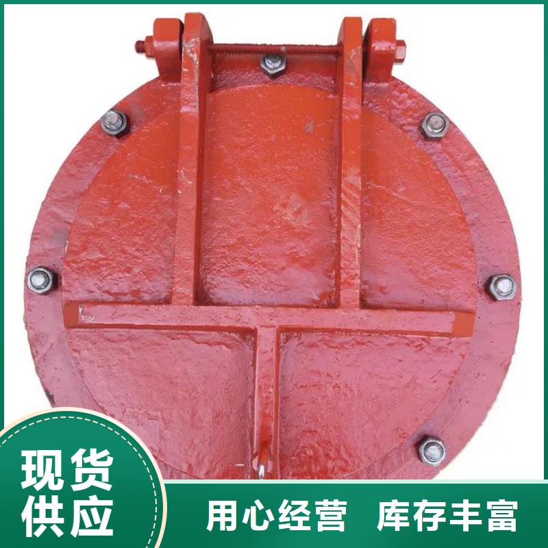 拍门钢制拍门厂家匠心工艺