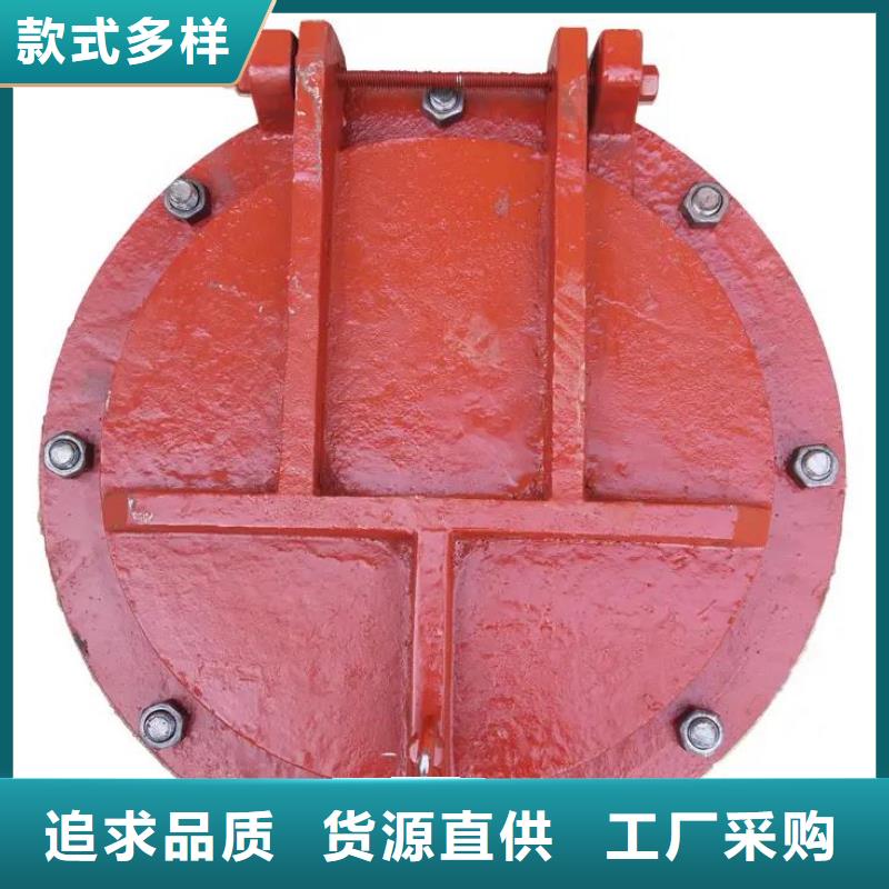  拍门研发生产销售