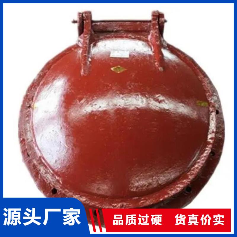  拍门厂家案例