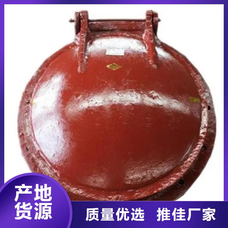 拍门 【机闸一体式闸门】场行情_河畔水利机械厂(果洛市分公司)