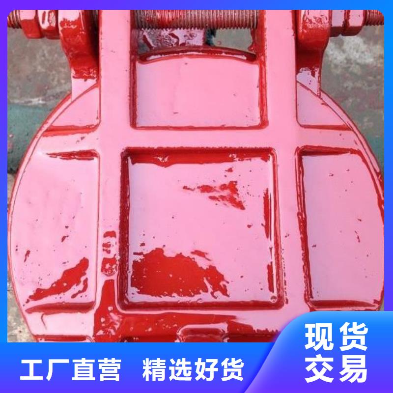 拍门【铸铁闸门厂家】细节之处更加用心同城服务商