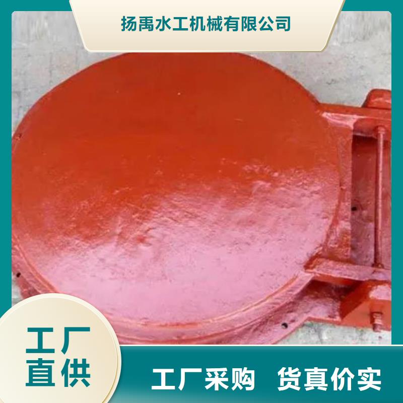 拍门卷扬启闭机厂家厂家