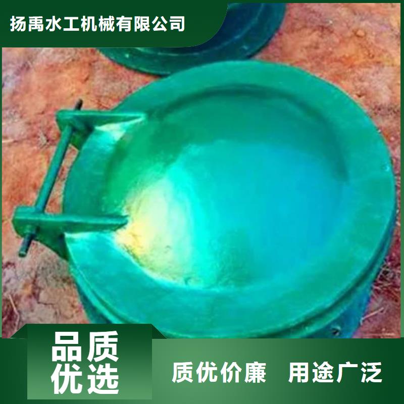 拍门厂家案例
