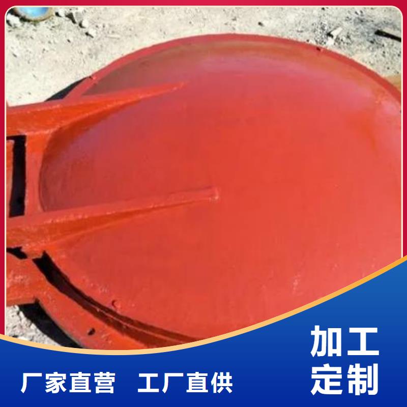 拍门卷扬启闭机厂家源厂直接供货