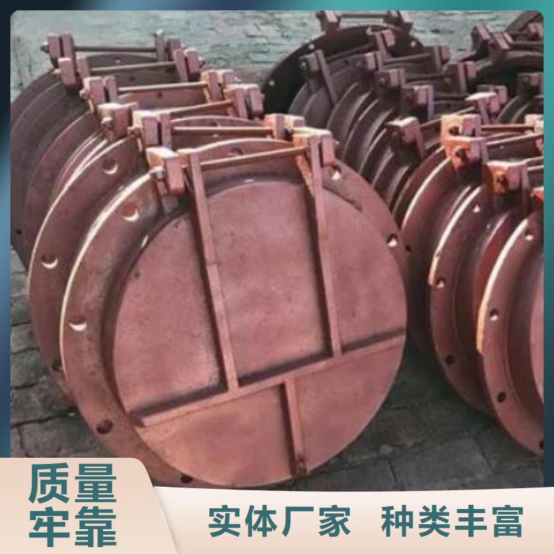 拍门 卷扬启闭机多种场景适用