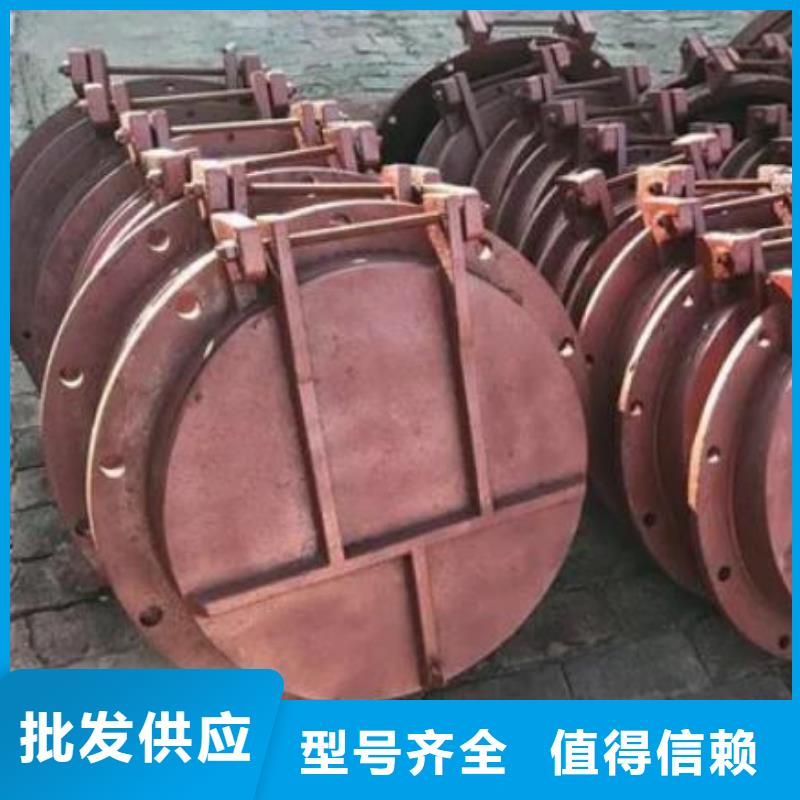 拍门钢制闸门支持定制批发