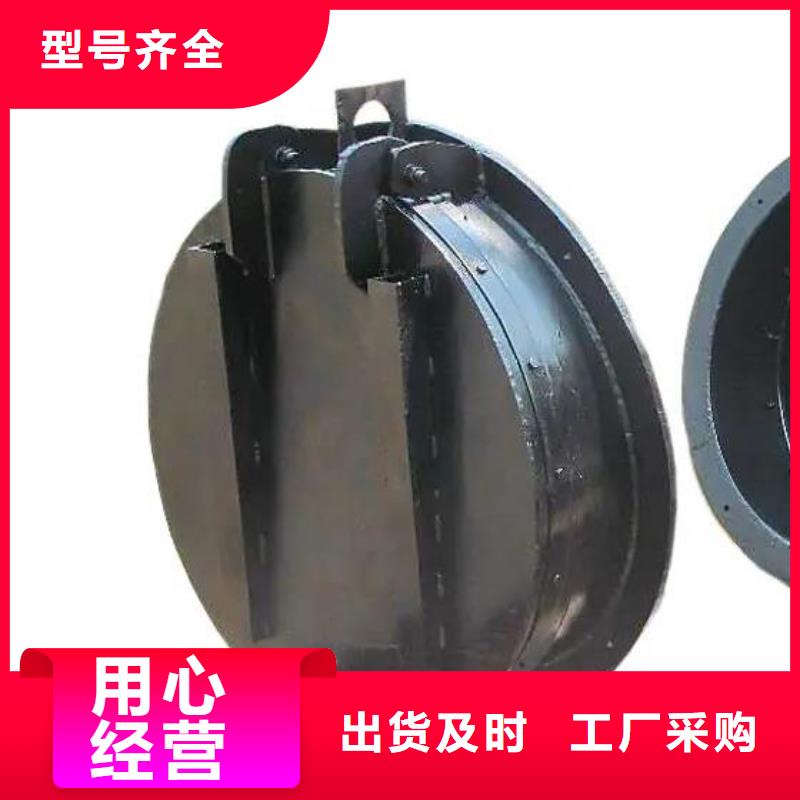 拍门钢制闸门支持定制批发