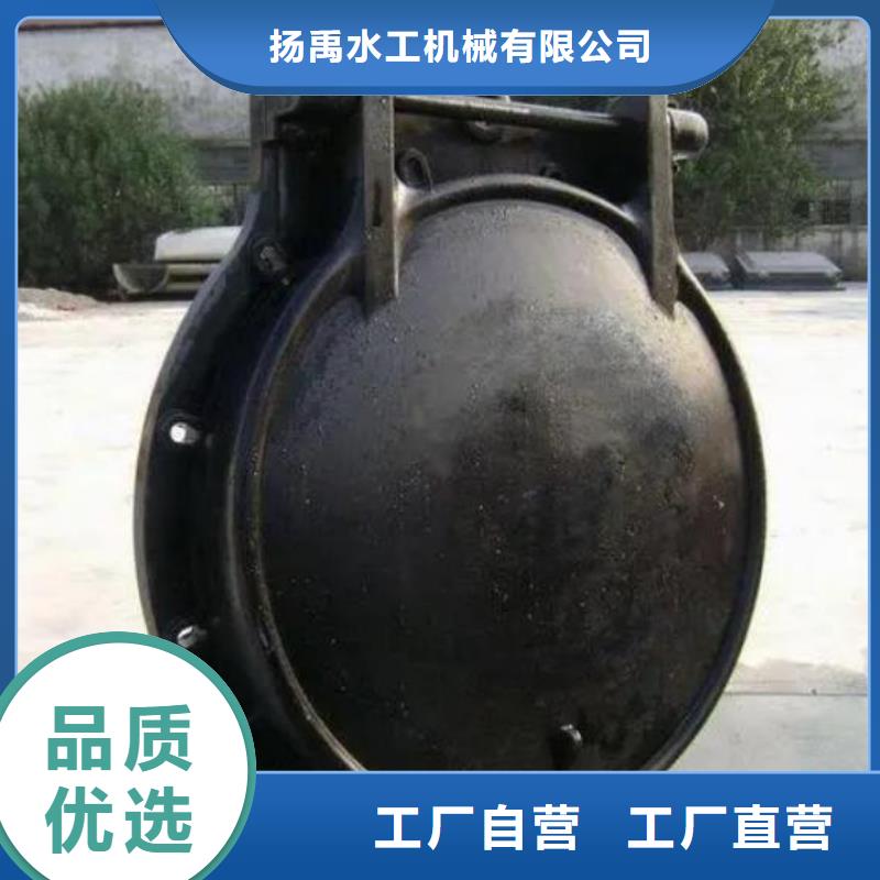 【拍门】钢制拍门工厂价格