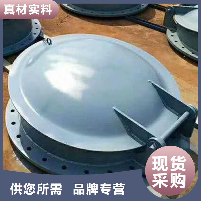 拍门不锈钢拍门专业厂家