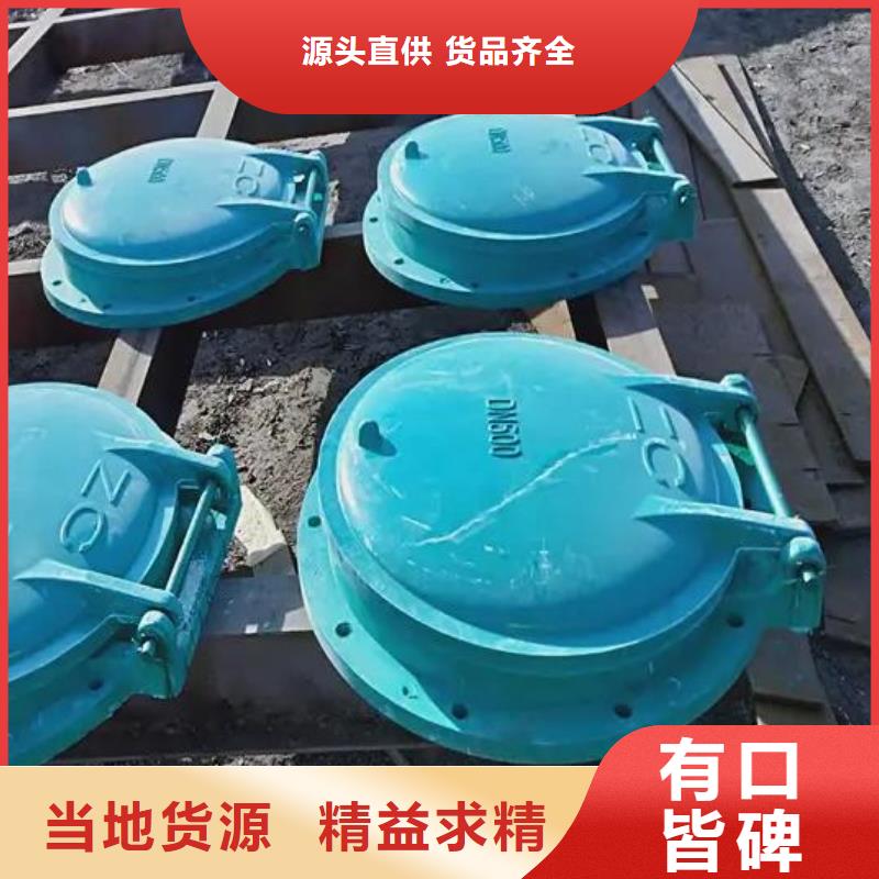 拍门_卷扬启闭机好品质用的放心