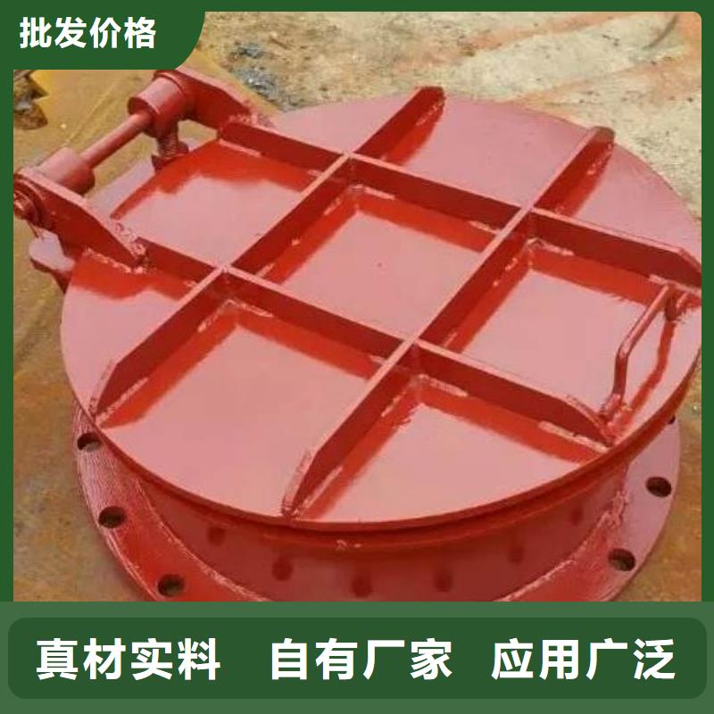 拍门 卷扬启闭机多种场景适用