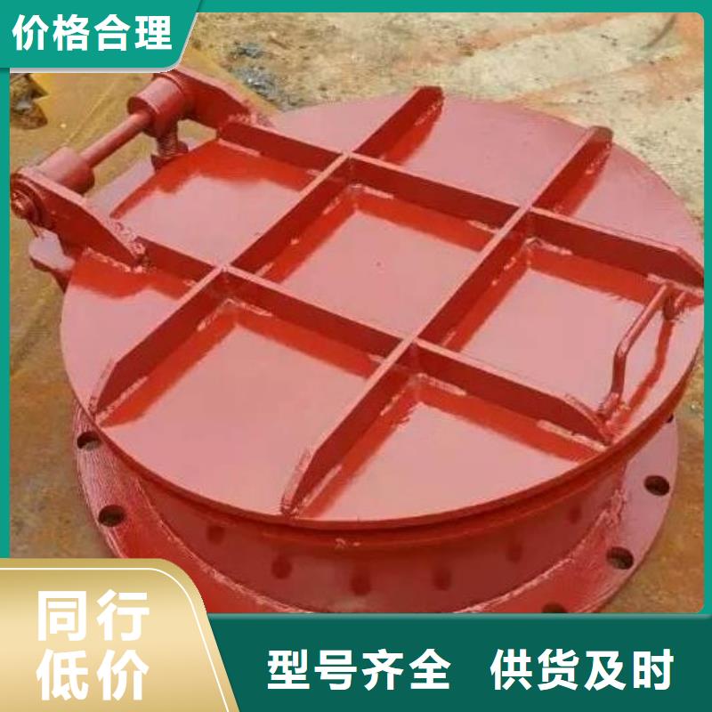 拍门卷扬启闭机厂家厂家