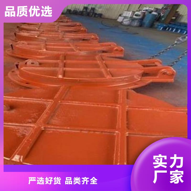 拍门 【机闸一体式闸门】场行情_河畔水利机械厂(果洛市分公司)