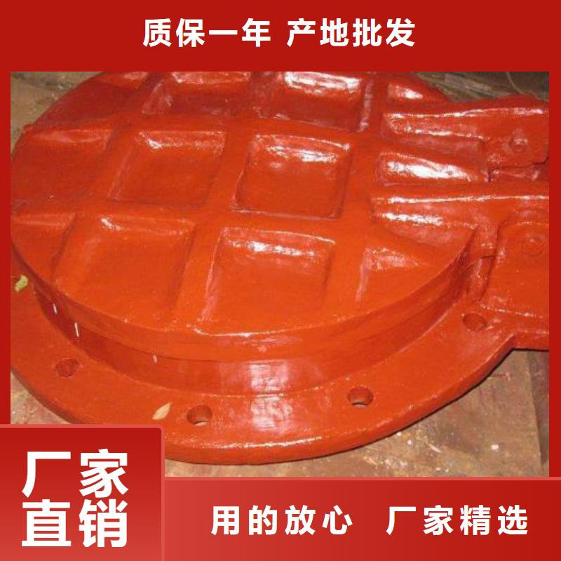 拍门卷扬启闭机N年大品牌