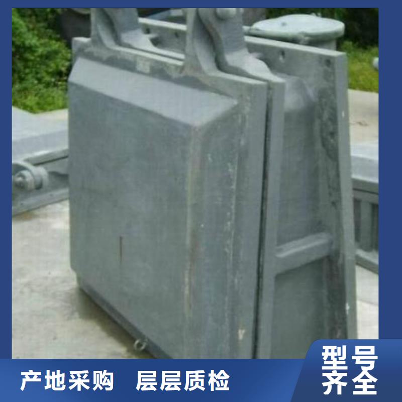 拍门厂家直销售后完善