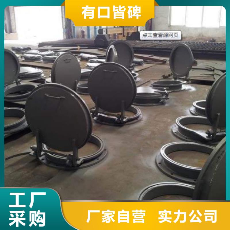拍门 球墨铸铁闸门库存量大