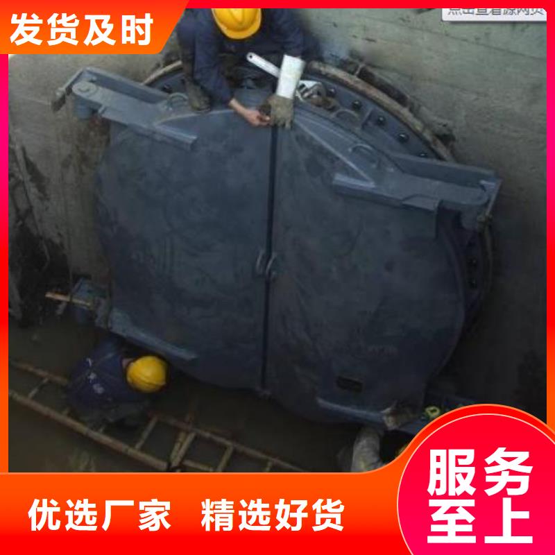 拍门-景观钢闸门规格齐全
