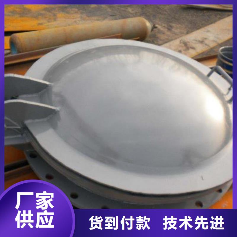 拍门 【机闸一体式闸门】场行情_河畔水利机械厂(果洛市分公司)
