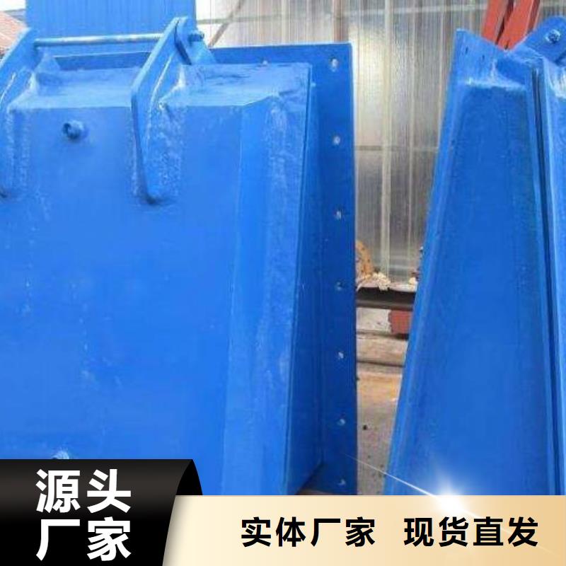 拍门,卷扬启闭机厂家懂您所需