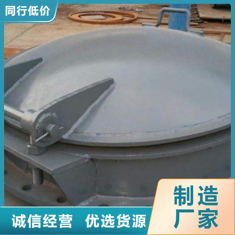 拍门球墨铸铁闸门支持加工定制