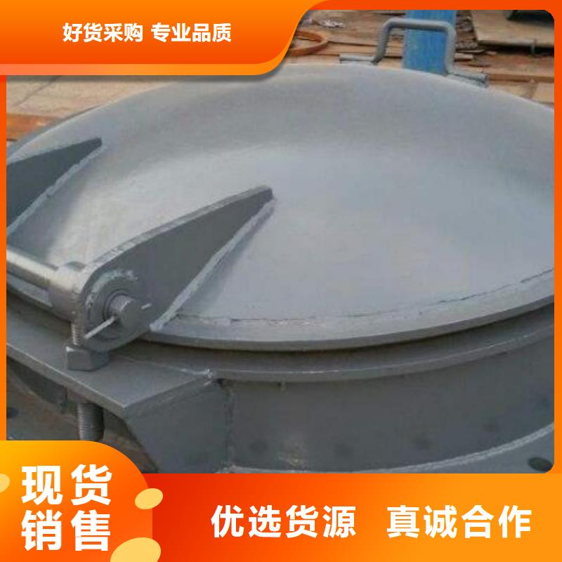 拍门钢制拍门随到随提