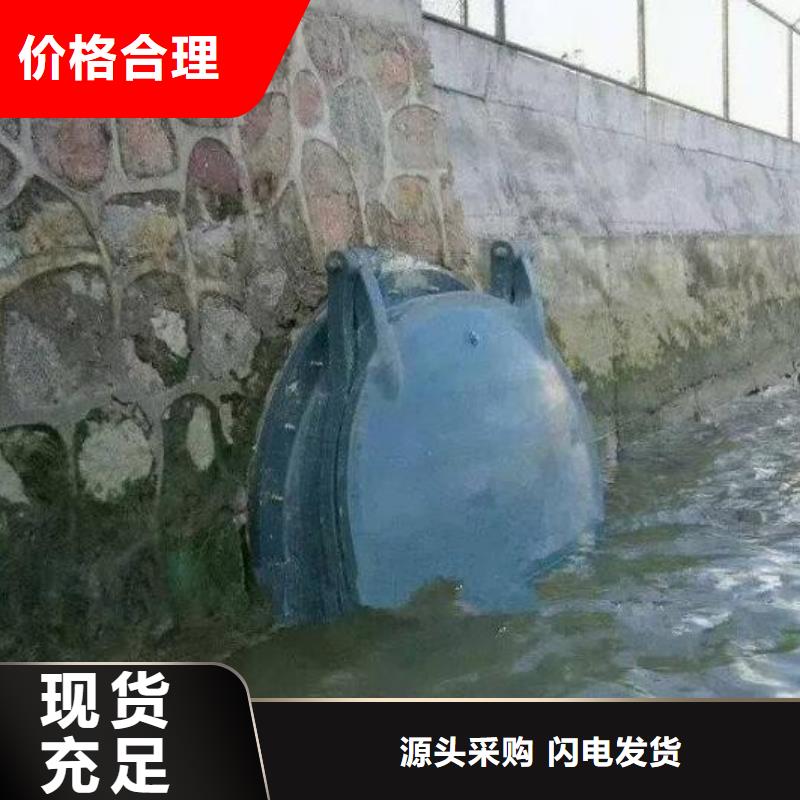  拍门大厂家实力看得见