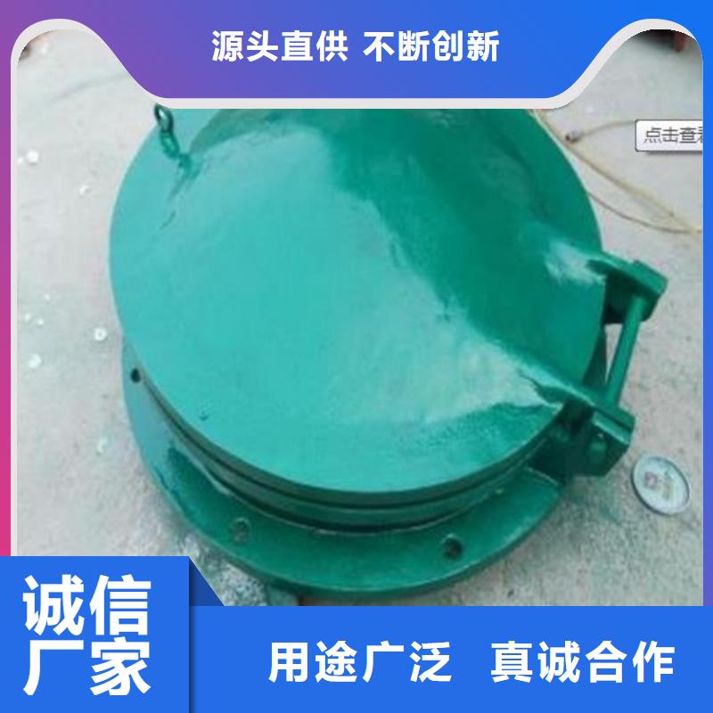 拍门 双向止水闸门支持定制贴心售后