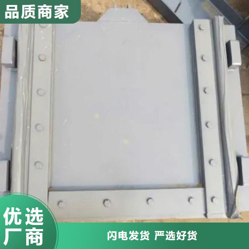 塑料闸门卷扬启闭机多年实力厂家