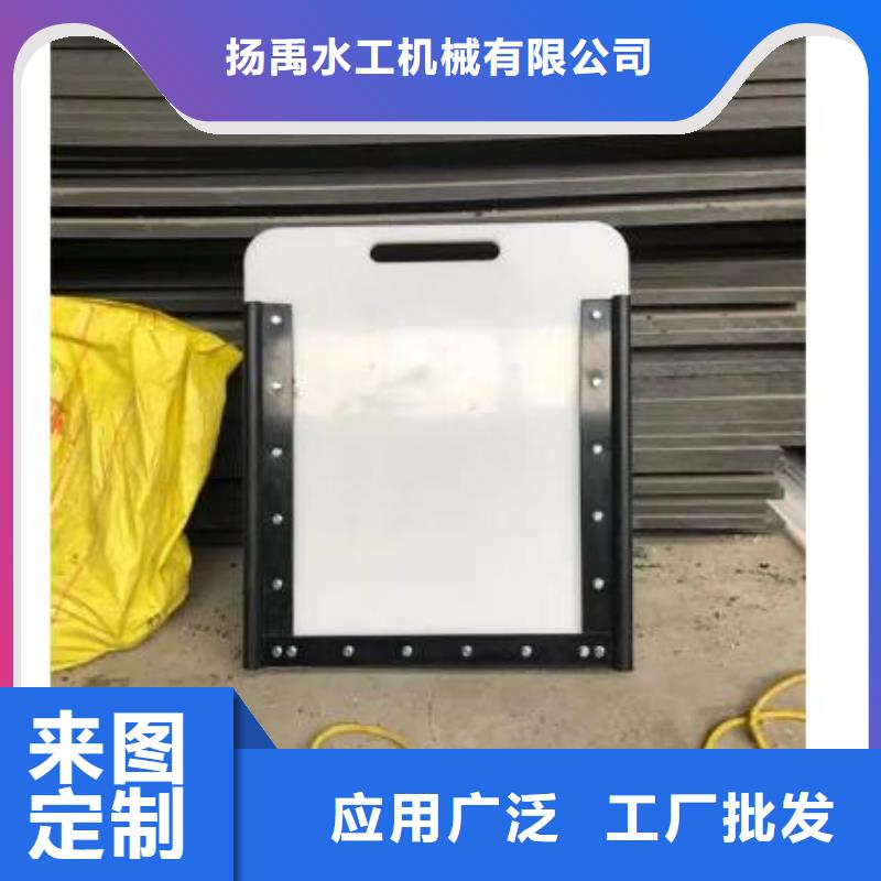 塑料闸门 不锈钢闸门厂家实力雄厚