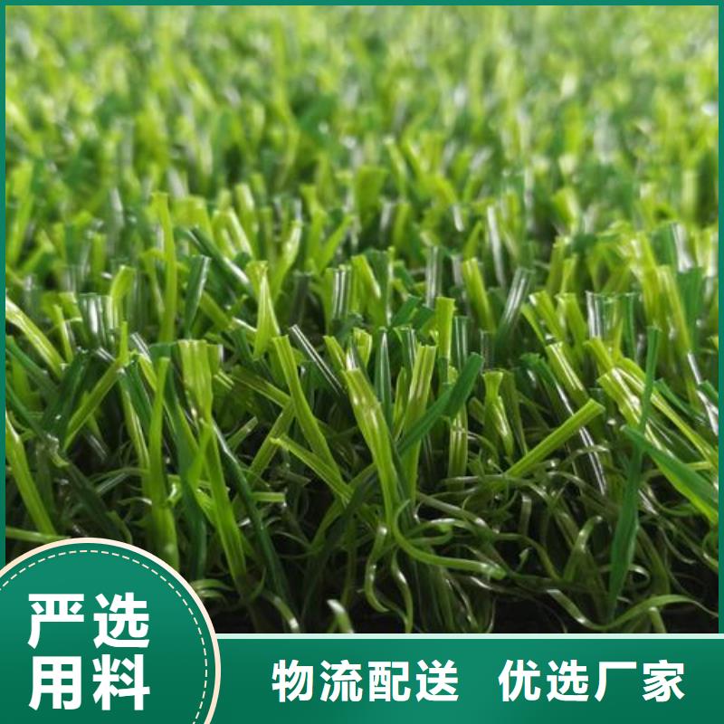塑胶跑道幼儿园彩色跑道N年大品牌